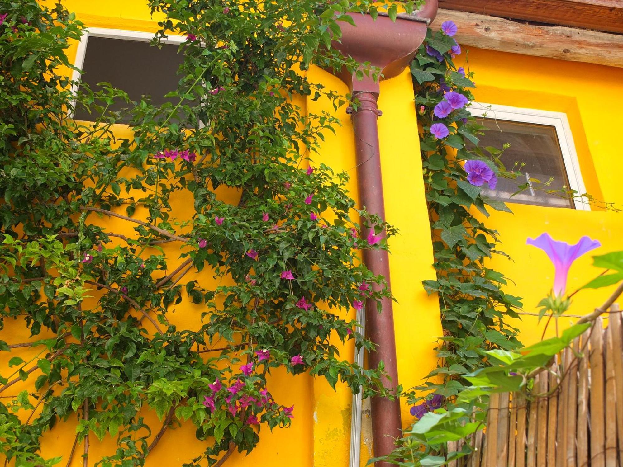La Maison Jaune Sete Ruang foto